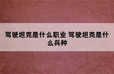 驾驶坦克是什么职业 驾驶坦克是什么兵种